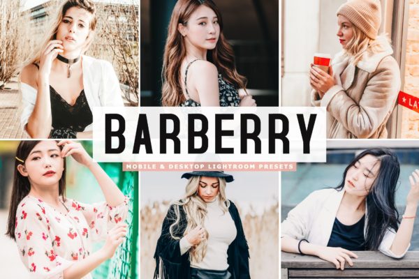 唯美舒适暖色调肖像摄影大洋岛精选LR预设 Barberry Mobile & Desktop Lightroom Presets缩略图 唯美舒适暖色调肖像摄影大洋岛精选LR预设 Barberry Mobile & Desktop Lightroom Presets