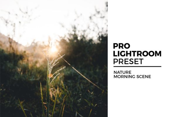 美好清晨摄影照片后期调色大洋岛精选LR预设 Nature Morning Scene Preset