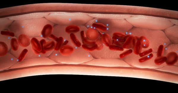 血管血小板流动动画医学视频素材 Blood Cells in Vessel with/without Molecules