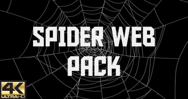 八组蜘蛛网特写镜头大洋岛精选高清视频素材包 Spider Web Pack