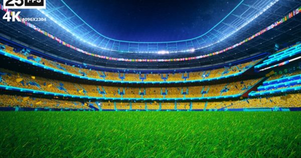 黄色队服足球场草坪夜景4K大洋岛精选高清背景视频 Yellow Flying On Grass In Stadium Night 4K