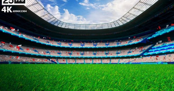 白色队服足球场草坪4K大洋岛精选高清背景视频 White Flying On Grass In Stadium 4K