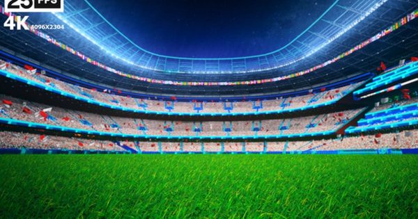 白色队服足球场草坪夜景4K大洋岛精选高清背景视频 White Flying On Grass In Stadium Night 4K