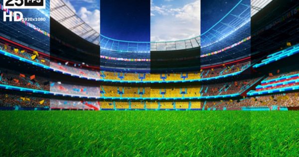 足球场草坪平移大洋岛精选高清视频素材02 Flying On Grass In Stadium HD Pack 02