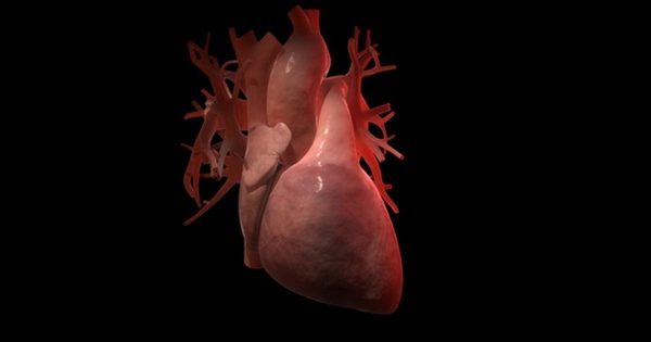 心脏跳动心跳加速大洋岛精选高清视频素材 Beating Human Heart – Increasing Heartbeat