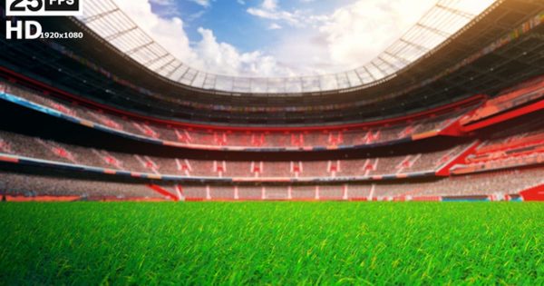 足球场绿茵草坪大洋岛精选高清视频素材 Flying On Grass In Stadium HD Pack