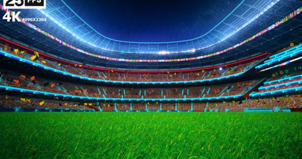 足球场草坪夜景4K大洋岛精选高清背景视频 Black Flying On Grass In Stadium Night缩略图 足球场草坪夜景4K大洋岛精选高清背景视频 Black Flying On Grass In Stadium Night