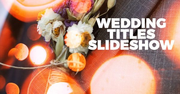 婚礼结婚剪影视频AE模板 Wedding