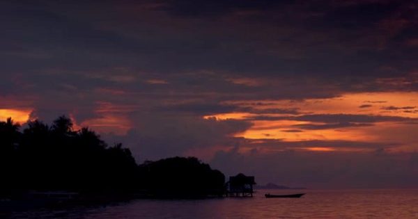 热带海岸晚霞风景背景视频素材 Colorful Sunset on a Tropical Coast and Motorboat缩略图 热带海岸晚霞风景背景视频素材 Colorful Sunset on a Tropical Coast and Motorboat