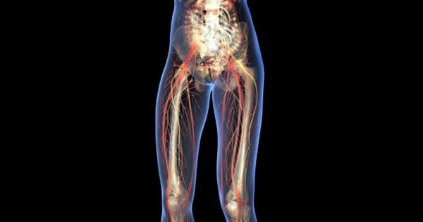 女性女人透视肌体大洋岛精选高清视频素材 Human Body With Visible Organs