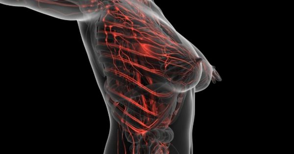 女性肌体人体可见血液系统视频素材 Human Body With Glow Blood Vessels