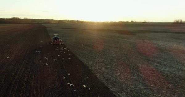 辽阔农场夕阳黄昏大洋岛精选高清视频素材 Farmer In Tractor Working On Fields During Sunset