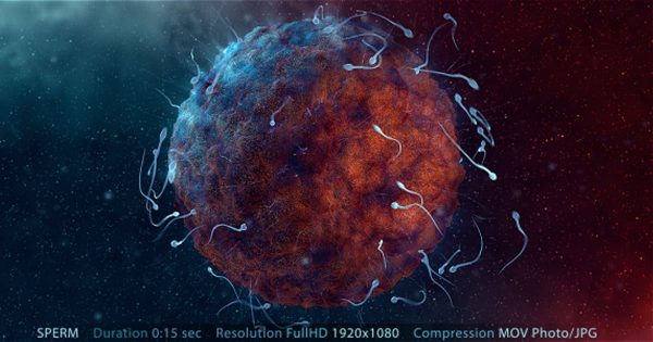 精子动画大洋岛精选高清视频素材 Sperm