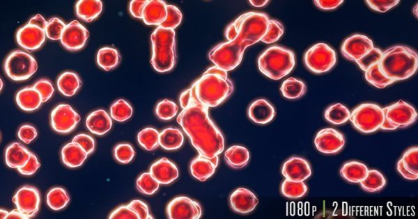 红细胞增殖大洋岛精选高清视频素材 Cell Growth Multiplying