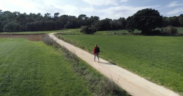 徒步旅行者乡间步行大洋岛精选高清视频素材 Lonely Hiker Walking On Country Road