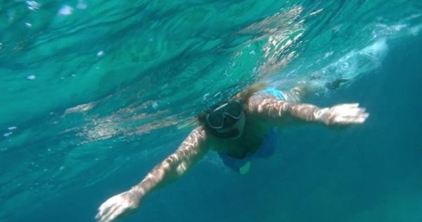 女性潜泳大洋岛精选高清视频素材 Woman Swimming With Snorkel In Red Sea
