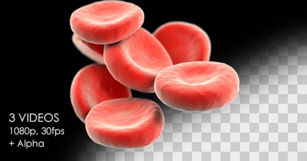 红细胞生物医学大洋岛精选高清视频素材 Red Blood Cells – Detailed Pack