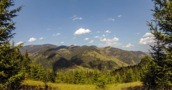 云杉高山风景大洋岛精选高清视频素材 Mountains Spruce and Sky缩略图 云杉高山风景大洋岛精选高清视频素材 Mountains Spruce and Sky