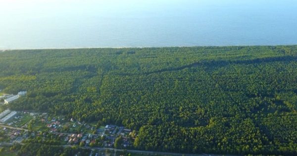 城市郊区植树林带航拍大洋岛精选高清视频素材 Suburbs with Lush Woods