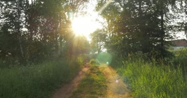 乡村小路日出大洋岛精选高清视频素材 Moving Along Rural Road Toward The Sun缩略图 乡村小路日出大洋岛精选高清视频素材 Moving Along Rural Road Toward The Sun