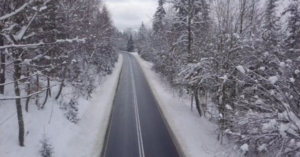 平静雪树间的道路大洋岛精选视频素材 Paved Road Among Snowy Trees