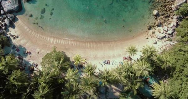 美丽棕榈树海滩航拍高清大洋岛精选视频素材 Flying Above Palm Tree Beach