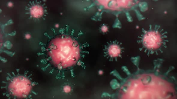 冠状病毒Covid 19形态结构渲染视频素材V2 Coronavirus Covid 19 V2