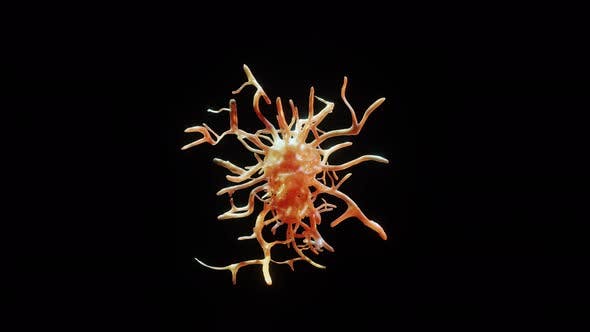 透明α背景病毒/Covid-19/其他细菌细胞高清视频素材 Virus, Covid-19 or Other Bacteria Cell on Alpha