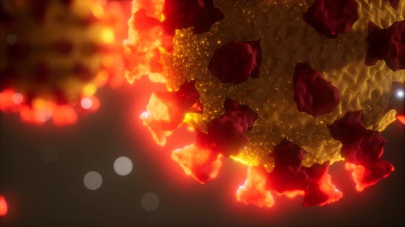 冠状病毒COVID-19医学模型高清视频素材v2 Coronavirus COVID-19 Medical Model缩略图 冠状病毒COVID-19医学模型高清视频素材v2 Coronavirus COVID-19 Medical Model