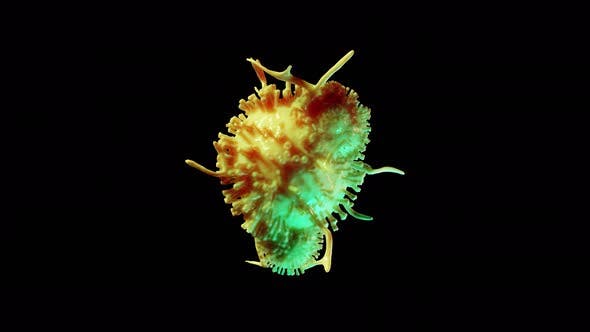 透明α背景COVID-19冠状病毒细胞大洋岛精选高清视频素材 COVID 19 Virus Cell on Transparent Alpha Background