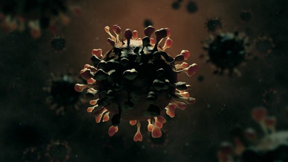 新冠病毒3D模拟动画Alpha通道视频素材 Virus Covid 19