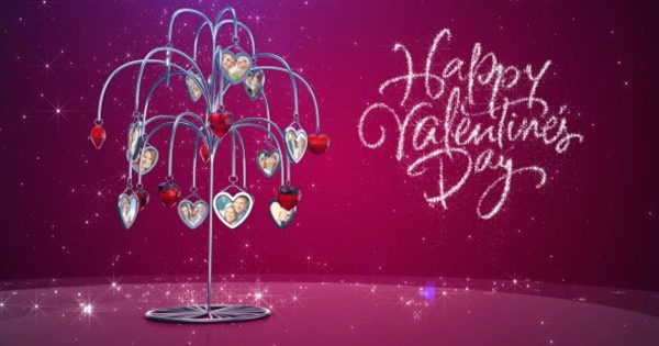 爱情之树动态视频相册大洋岛精选AE模板 Tree of Love