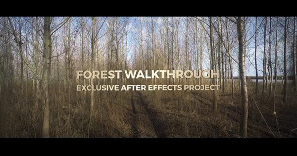 漫步森林第一人称视觉3D效果大洋岛精选AE模板 Forest Walkthrough