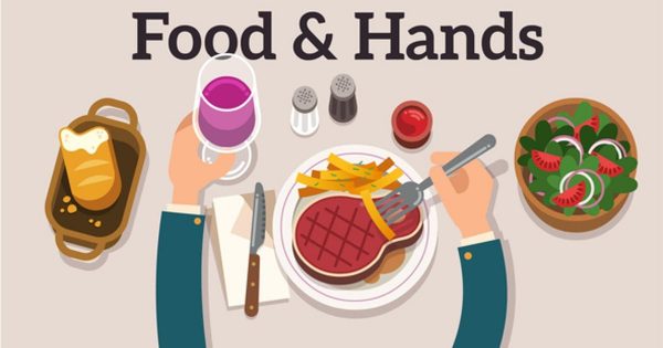 食物&手创意动画视频大洋岛精选AE模板 Food & Hands Explainer缩略图 食物&手创意动画视频大洋岛精选AE模板 Food & Hands Explainer