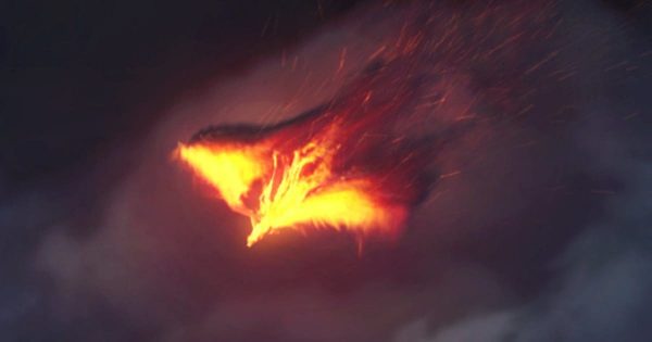 火凤凰粒子特效Logo演示大洋岛精选AE模板 The Pheonix | Fire Reveal缩略图 火凤凰粒子特效Logo演示大洋岛精选AE模板 The Pheonix | Fire Reveal