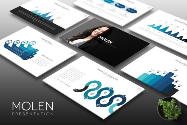 企业上市路演宣传第一素材精选Keynote模板模板 Molen – Keynote Template