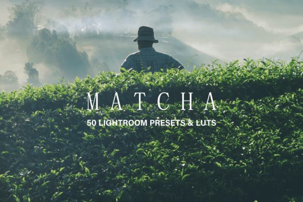 50款绿色背景摄影后期调色处理蚂蚁素材精选LR预设 50 Matcha Lightroom Presets and LUTs