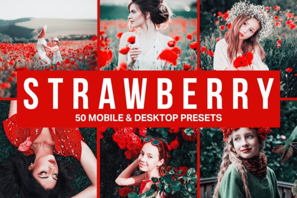 50款草莓色系照片调色滤镜蚂蚁素材精选LR预设 50 Strawberry Lightroom Presets and LUTs