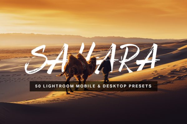 50款沙漠风景摄影调色滤镜蚂蚁素材精选LR预设 50 Sahara Lightroom Presets and LUTs