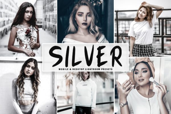 银色调滤镜专业Lightroom调色预设 Silver Mobile & Desktop Lightroom Presets