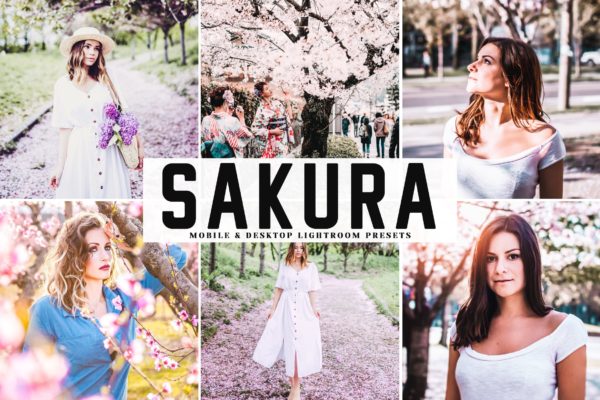低饱和度柔和色调照片调色滤镜第一素材精选LR预设 Sakura Mobile & Desktop Lightroom Presets