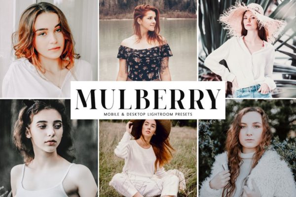 肖像摄影暖色系调色滤镜第一素材精选LR预设套件 Mulberry Mobile & Desktop Lightroom Presets