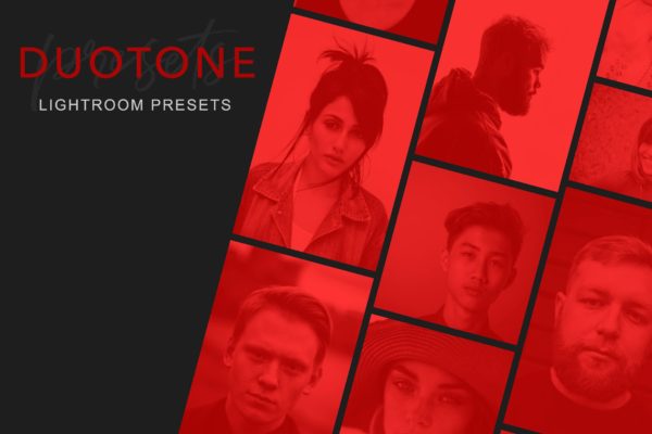 个性双色调照片调色滤镜蚂蚁素材精选LR预设 DUOTONE – Lightroom Presets