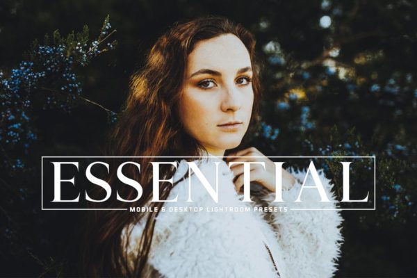 艺术照片调色滤镜第一素材精选LR预设 Essential Mobile & Desktop Lightroom Presets