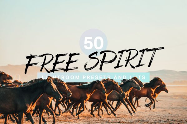 50款电影/细节增强/复古/超现实风格Lightroom预设 50 Free Spirit Lightroom Presets