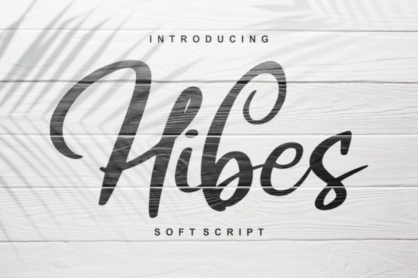 软笔刷书法风格英文手写字体第一素材精选 Hibes | Soft Script Font