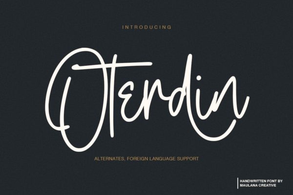 钢笔签名风格英文手写字体第一素材精选 Oterdin – Handwritten Font