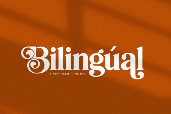 创意英文衬线字体第一素材精选二重奏 Bilingual Serif Font Duo