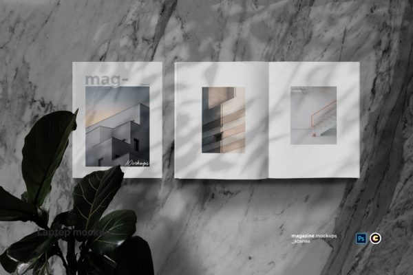 植物阴影大理石背景杂志版式设计预览样机蚂蚁素材精选模板 Magazine Mock Up