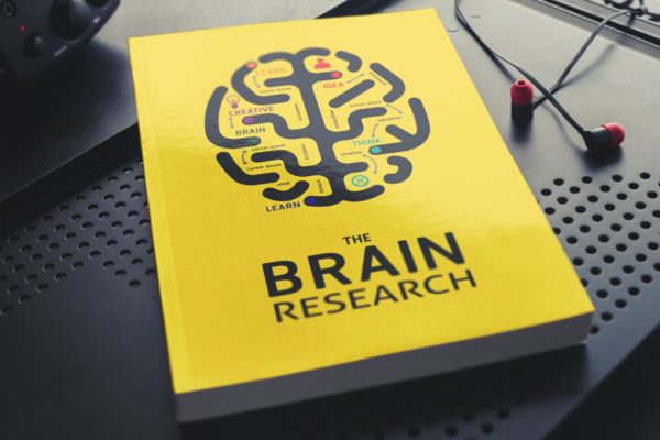 简装软封图书封面设计展示图样机第一素材精选 Book Mockup / Soft Cover Edition